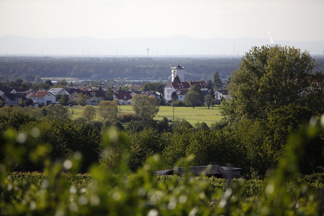Stadt Aussicht von den Weinbergen auf den Bad Schönborner Ortsteil Bad Langenbrücken.